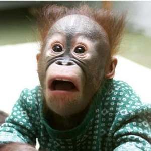 Meet your Posher, Shealin